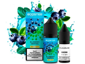 Набір Blueberry Menthol 30 мл (Booster)