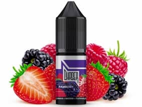 Pamberry X 15 мл (Chaser Salt)